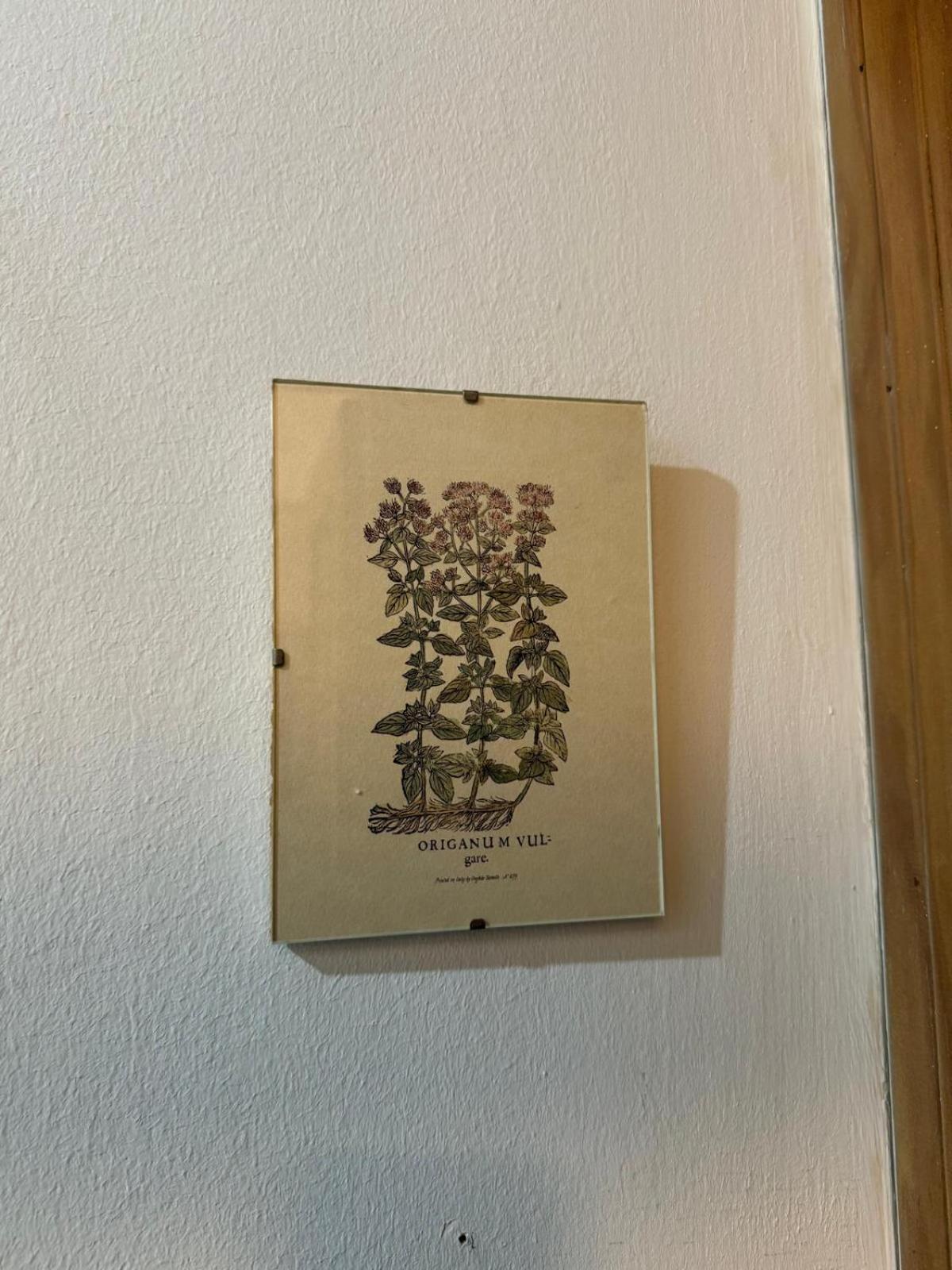 Apartamento Casa Palacio 1890. El Puerto de Santa María Eksteriør billede